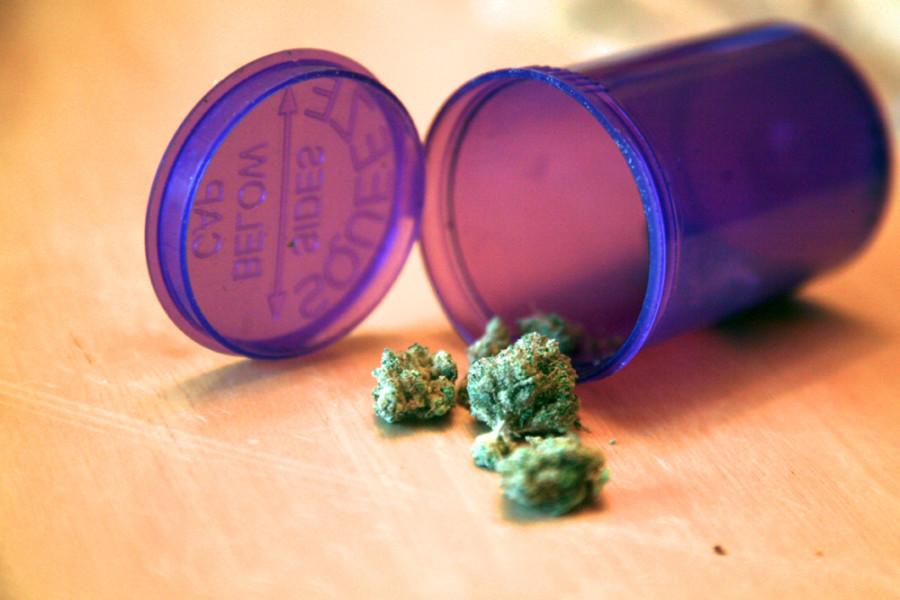 Medical marijuana to be grown in South Hadley
