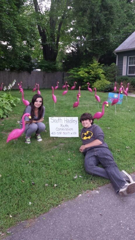 Families flocked with flamingos
