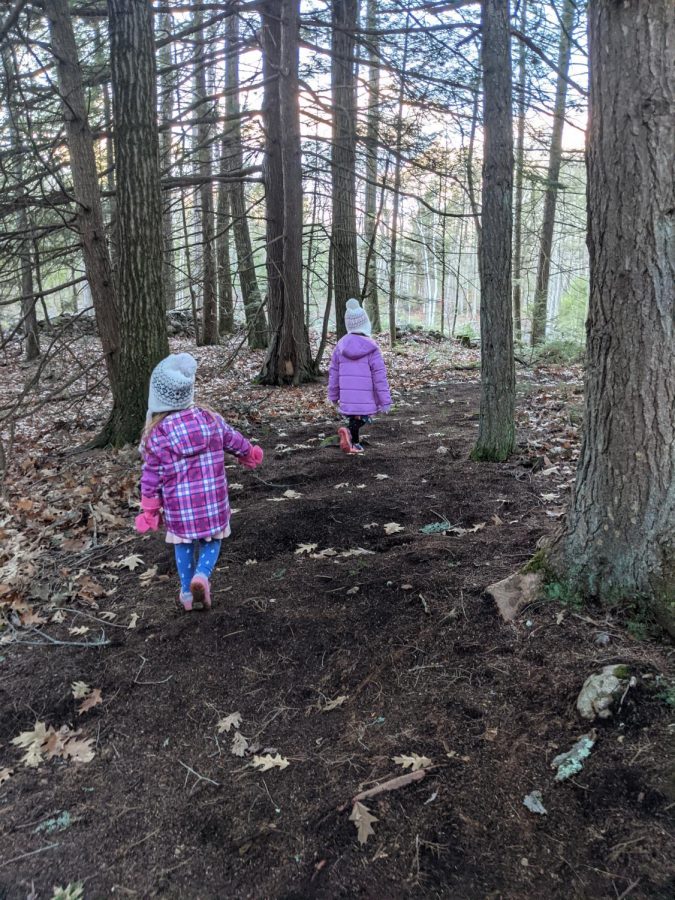 Mr. B-Gs daughters demonstrate exploration as they take a stroll through the woods.