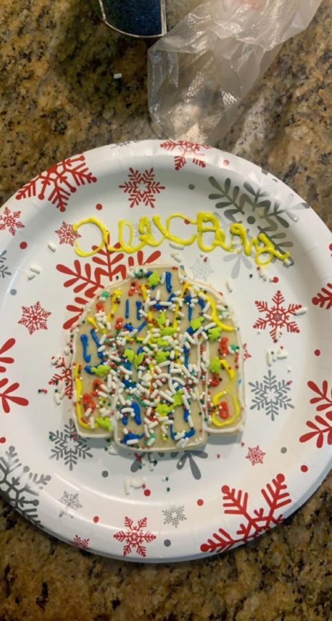 This photo of my ugly sweater Christmas cookie represents artistic expression. Look at how ugly that cookie is!