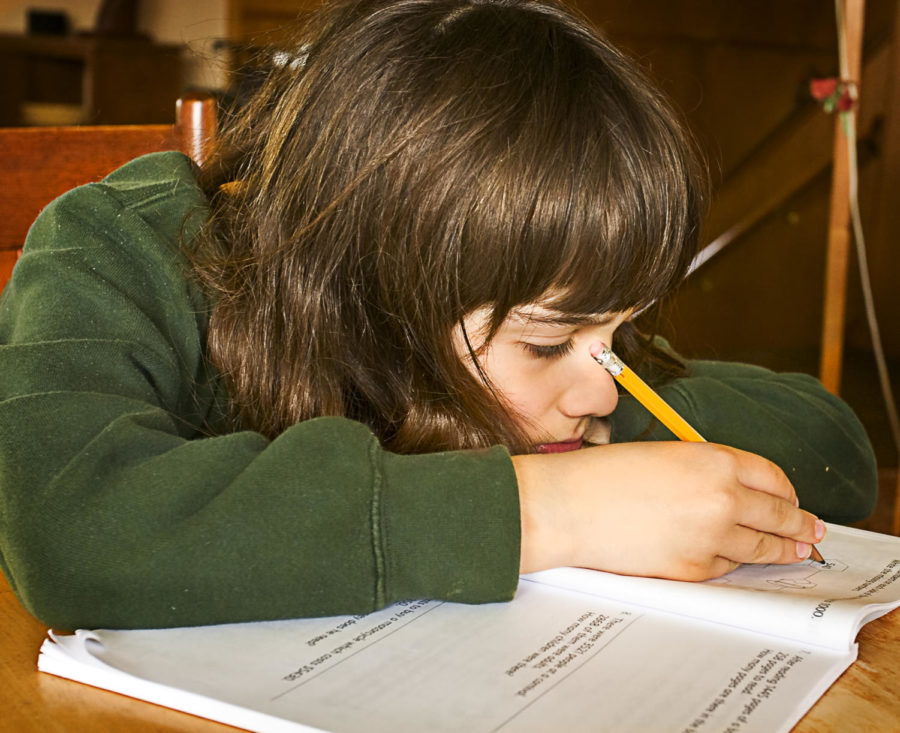 Do Teachers Assign Too Much Homework?