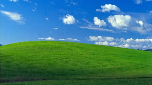  The classic Windows XP desktop background, first gracing our screens in 2001